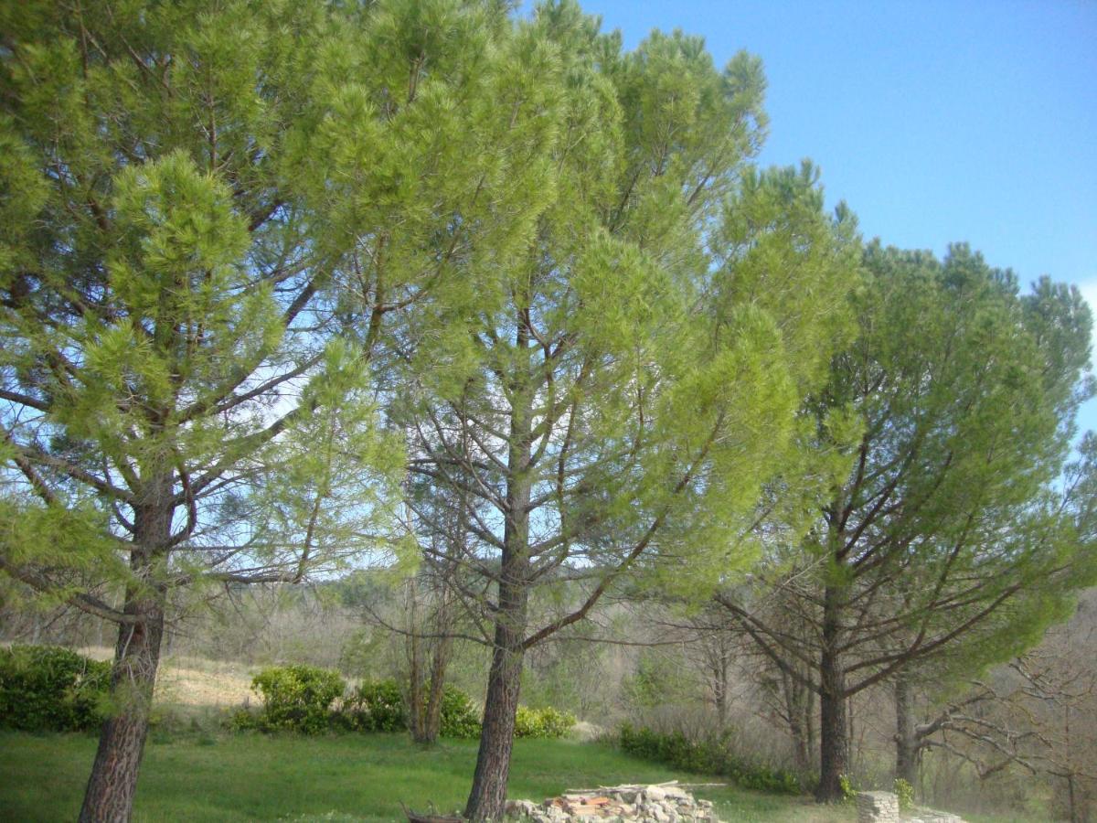 La Croix Du Sud - Ocres En Provence Villa Apt Kültér fotó